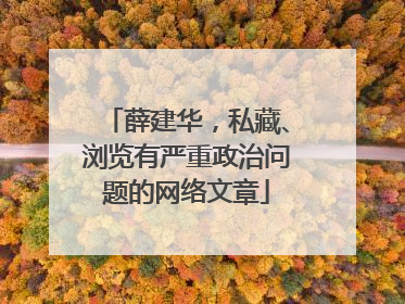薛建华，私藏、浏览有严重政治问题的网络文章