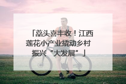 藠头喜丰收！江西莲花小产业撬动乡村振兴“大发展”