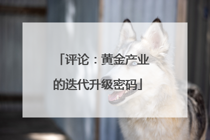 评论：黄金产业的迭代升级密码