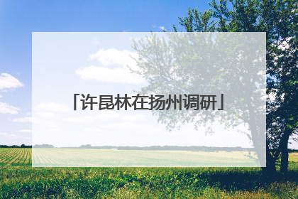 许昆林在扬州调研