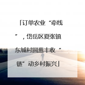 订单农业“牵线”，岱岳区夏张镇东城村圆葱丰收“链”动乡村振兴