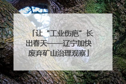 让“工业伤疤”长出春天——辽宁加快废弃矿山治理观察