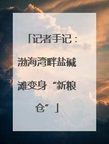 记者手记：渤海湾畔盐碱滩变身“新粮仓”