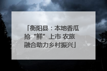 衡阳县：本地香瓜抢“鲜”上市 农旅融合助力乡村振兴