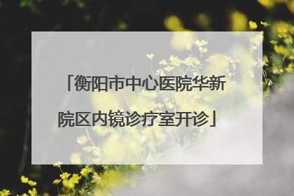 衡阳市中心医院华新院区内镜诊疗室开诊