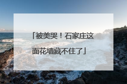 被美哭！石家庄这面花墙藏不住了