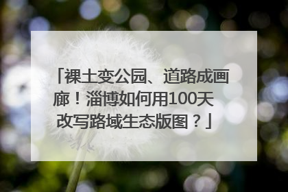 裸土变公园、道路成画廊！淄博如何用100天改写路域生态版图？