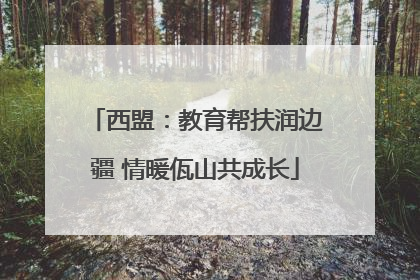 西盟：教育帮扶润边疆 情暖佤山共成长