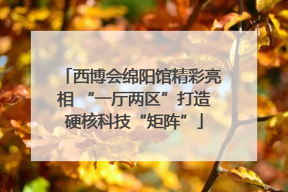 西博会绵阳馆精彩亮相 “一厅两区”打造硬核科技“矩阵”