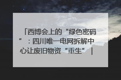 西博会上的“绿色密码”：四川唯一电网拆解中心让废旧物资“重生”｜西博寻“新”记