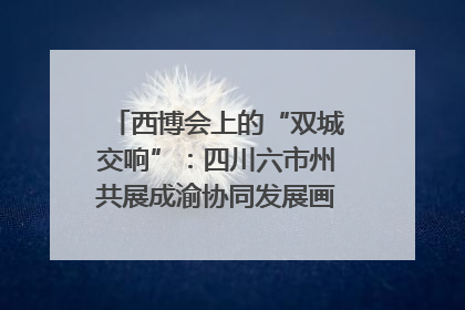 西博会上的“双城交响”：四川六市州共展成渝协同发展画卷｜西博视界