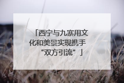 西宁与九寨用文化和美景实现携手“双方引流”