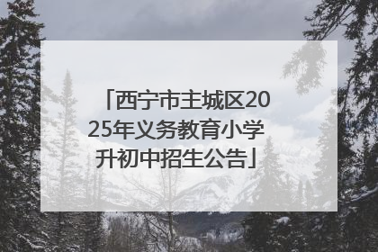 西宁市主城区2025年义务教育小学升初中招生公告