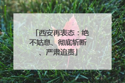 西安再表态：绝不姑息、彻底斩断、严肃追责