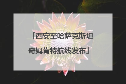 西安至哈萨克斯坦奇姆肯特航线发布