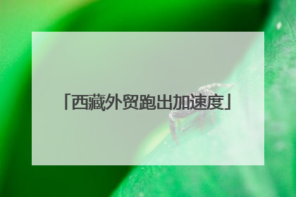 西藏外贸跑出加速度