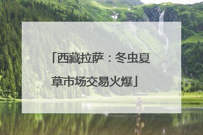 西藏拉萨：冬虫夏草市场交易火爆