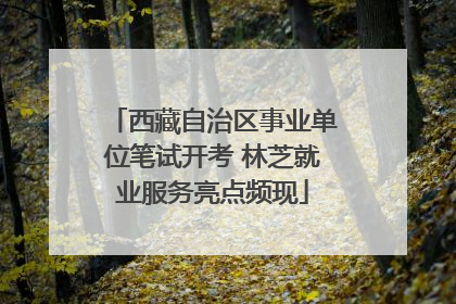 西藏自治区事业单位笔试开考 林芝就业服务亮点频现