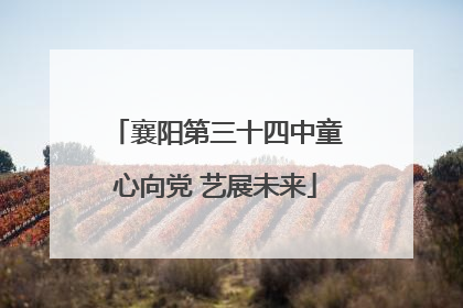 襄阳第三十四中童心向党 艺展未来