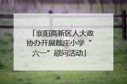 襄阳高新区人大政协办开展魏庄小学“六一”慰问活动