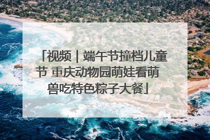 视频｜端午节撞档儿童节 重庆动物园萌娃看萌兽吃特色粽子大餐