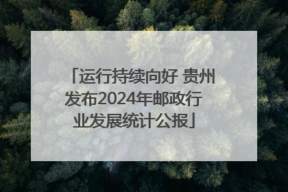 运行持续向好 贵州发布2024年邮政行业发展统计公报