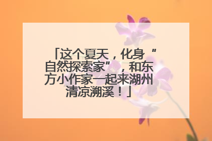 这个夏天，化身“自然探索家”，和东方小作家一起来湖州清凉溯溪！