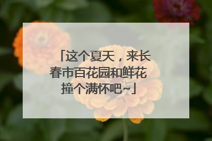 这个夏天，来长春市百花园和鲜花撞个满怀吧~