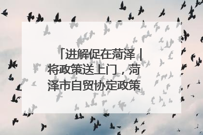 进解促在菏泽｜将政策送上门，菏泽市自贸协定政策专题宣讲会召开