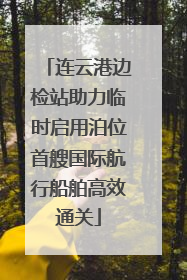 连云港边检站助力临时启用泊位首艘国际航行船舶高效通关