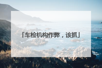 车检机构作弊，该抓