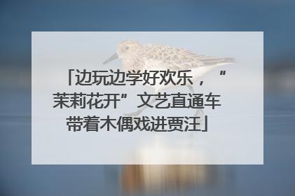 边玩边学好欢乐，“茉莉花开”文艺直通车带着木偶戏进贾汪