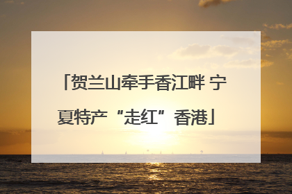 贺兰山牵手香江畔 宁夏特产“走红”香港