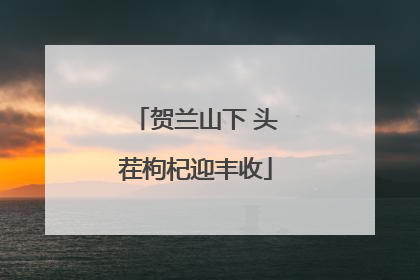 贺兰山下 头茬枸杞迎丰收