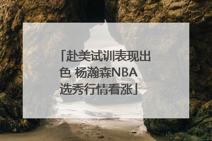 赴美试训表现出色 杨瀚森NBA选秀行情看涨