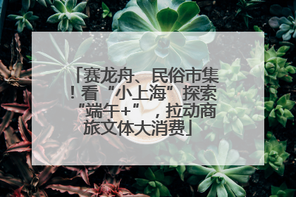 赛龙舟、民俗市集！看“小上海”探索“端午+”，拉动商旅文体大消费
