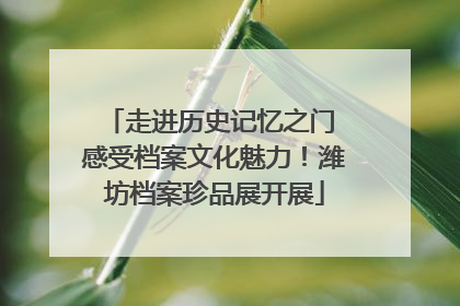 走进历史记忆之门 感受档案文化魅力！潍坊档案珍品展开展