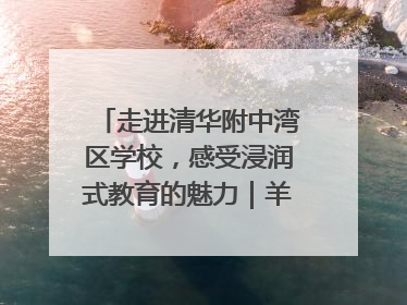 走进清华附中湾区学校，感受浸润式教育的魅力｜羊城名校行