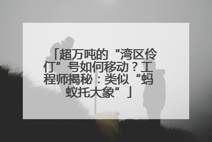 超万吨的“湾区伶仃”号如何移动？工程师揭秘：类似“蚂蚁托大象”
