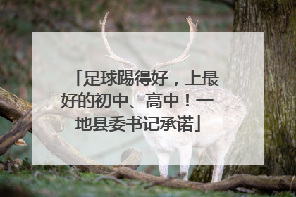 足球踢得好，上最好的初中、高中！一地县委书记承诺