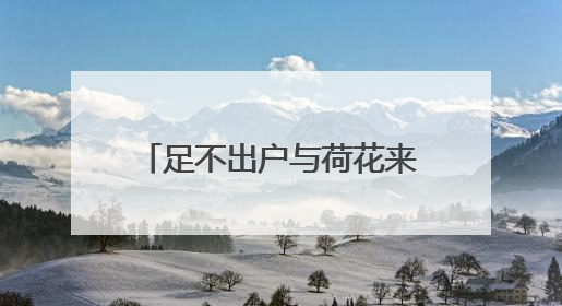 足不出户与荷花来一场浪漫约会！湖北推出赏荷地图
