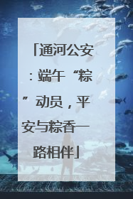 通河公安：端午“粽”动员，平安与粽香一路相伴