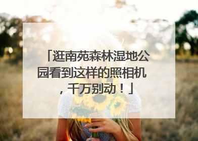 逛南苑森林湿地公园看到这样的照相机，千万别动！