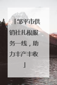 邹平市供销社扎根服务一线，助力丰产丰收