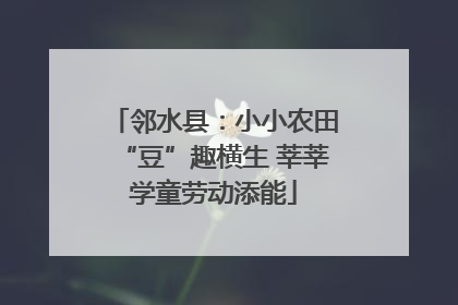 邻水县：小小农田“豆”趣横生 莘莘学童劳动添能
