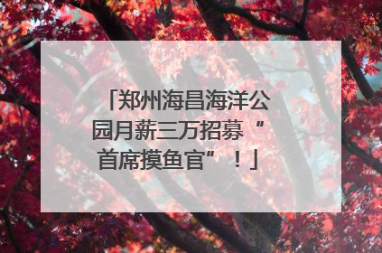郑州海昌海洋公园月薪三万招募“首席摸鱼官”！