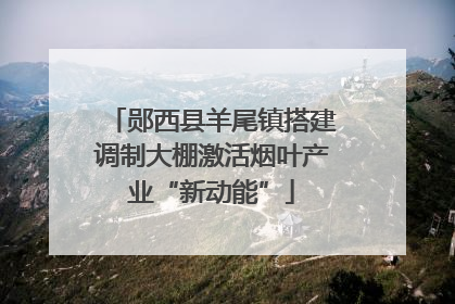 郧西县羊尾镇搭建调制大棚激活烟叶产业“新动能”
