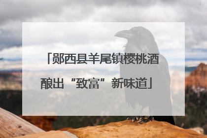 郧西县羊尾镇樱桃酒酿出“致富”新味道