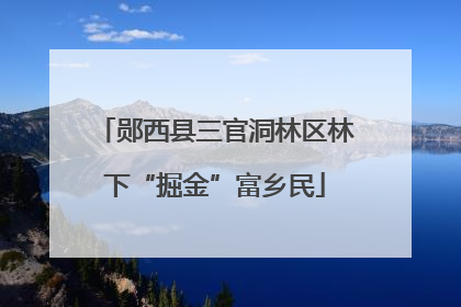 郧西县三官洞林区林下“掘金”富乡民
