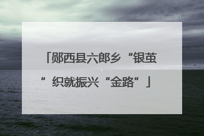 郧西县六郎乡“银茧”织就振兴“金路”